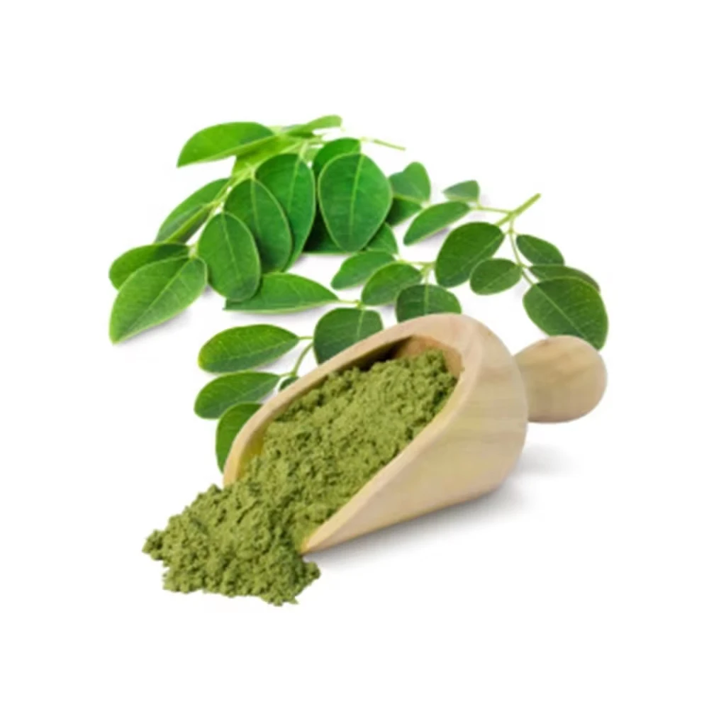 Bulk Supply Pure Natural Fresh Moringa Leaf Powder