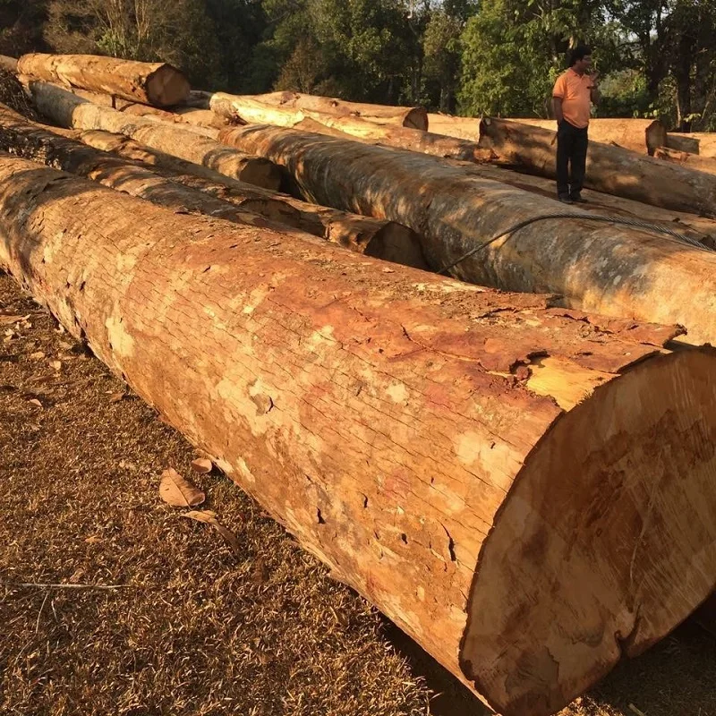 Древесина бука KD 10-12%