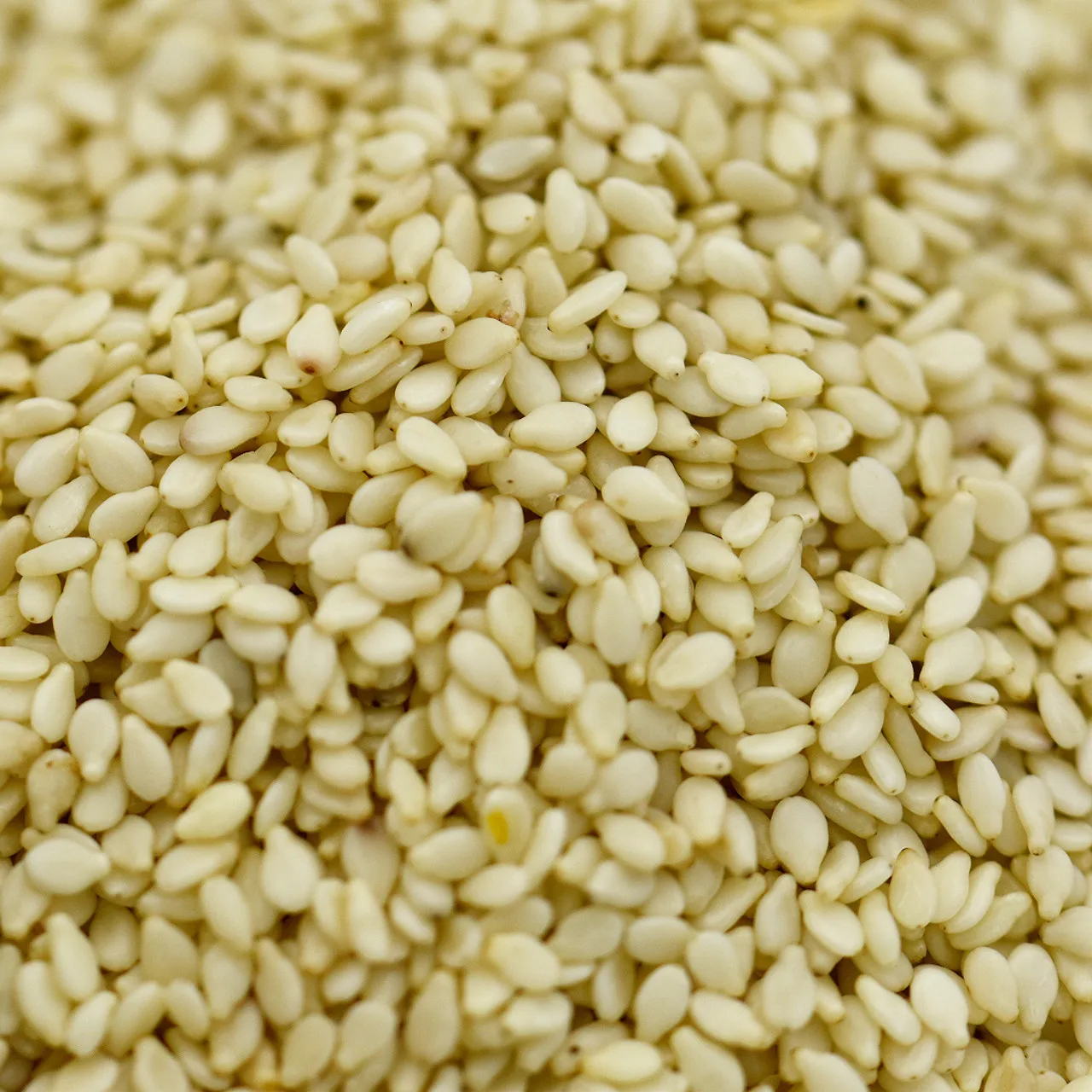 Hot Sales Sesame Seeds Sesame Seeds Import Price Golden Sesame Seeds White Golden Red High Grade Quality