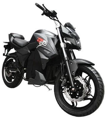 Adult DP Racing Electric Motorcycle 70km/h Hot Selling 2kW 72V QS Motor 72V 20Ah Lithium Battery