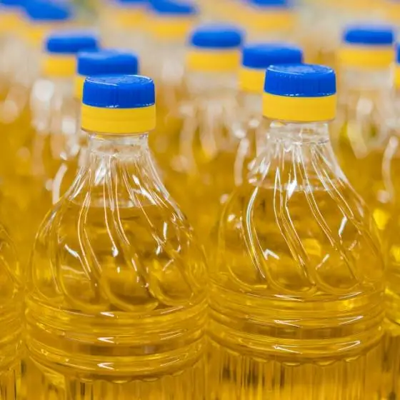 Rapeseed Oil/ Buy Cheap Rapeseed Oil/ High Quality Rapeseed Oil