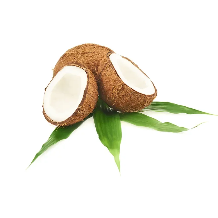 Private Label Cruelty Free Coconut Oil Collagen Cosmetics Hair Care Products For Afro Natural Hair
