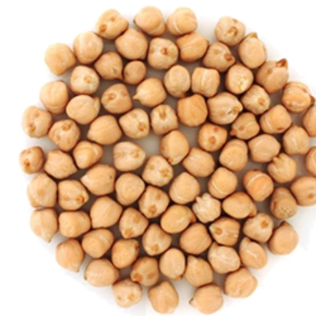 Hot Sale Good Manufactured Dried Organic Kabuli Chickpea