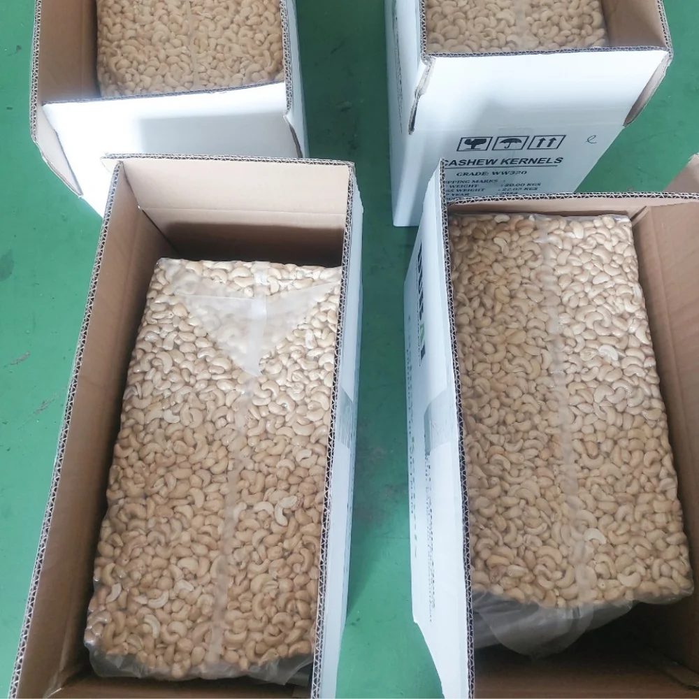 Wholesale Cheap Cashew Nuts Cashew Nuts W320 Wholesale Cashew Nuts Short Leadtime