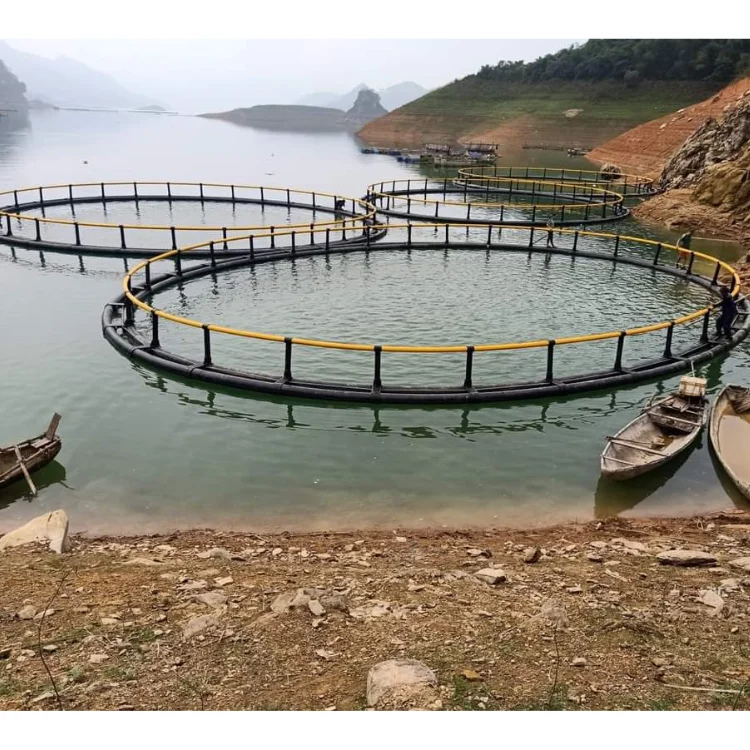 Hdpe Fish Cage Cheap Price Durable Aquatic Research Center Floating Round Cage Custom Designs Vietnam Manufacturer