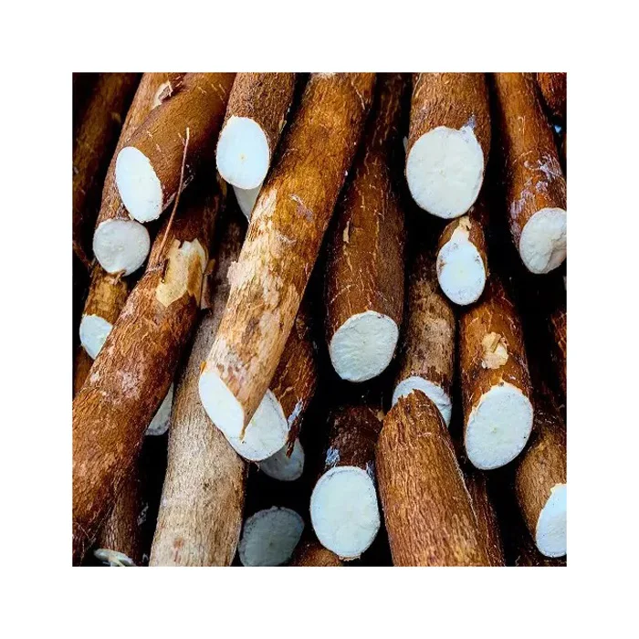 Native Tapioca Starch/Cassava Starch for food, Family Starch