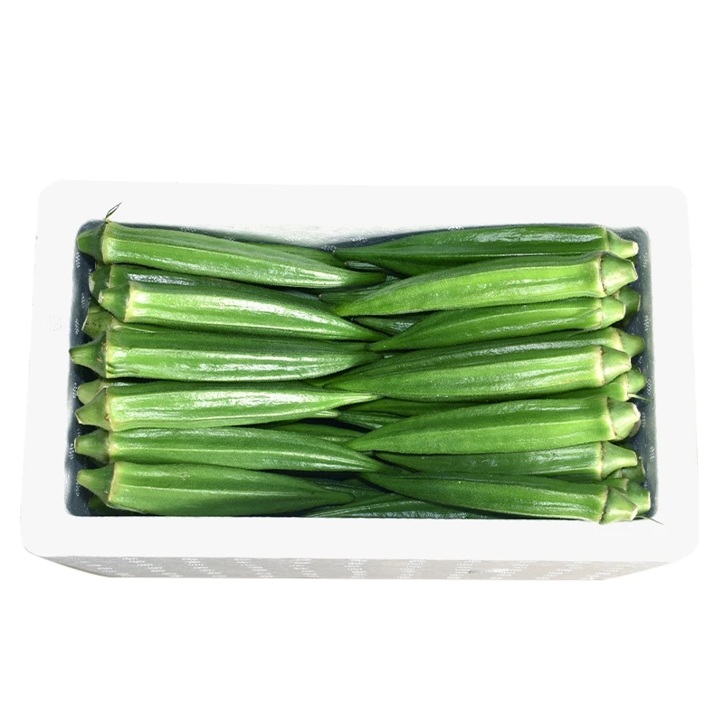 Vegetable Okra 100% Best Quality Organic Fresh Ladies Finger/Fresh Okra Export made in USA Box Packing