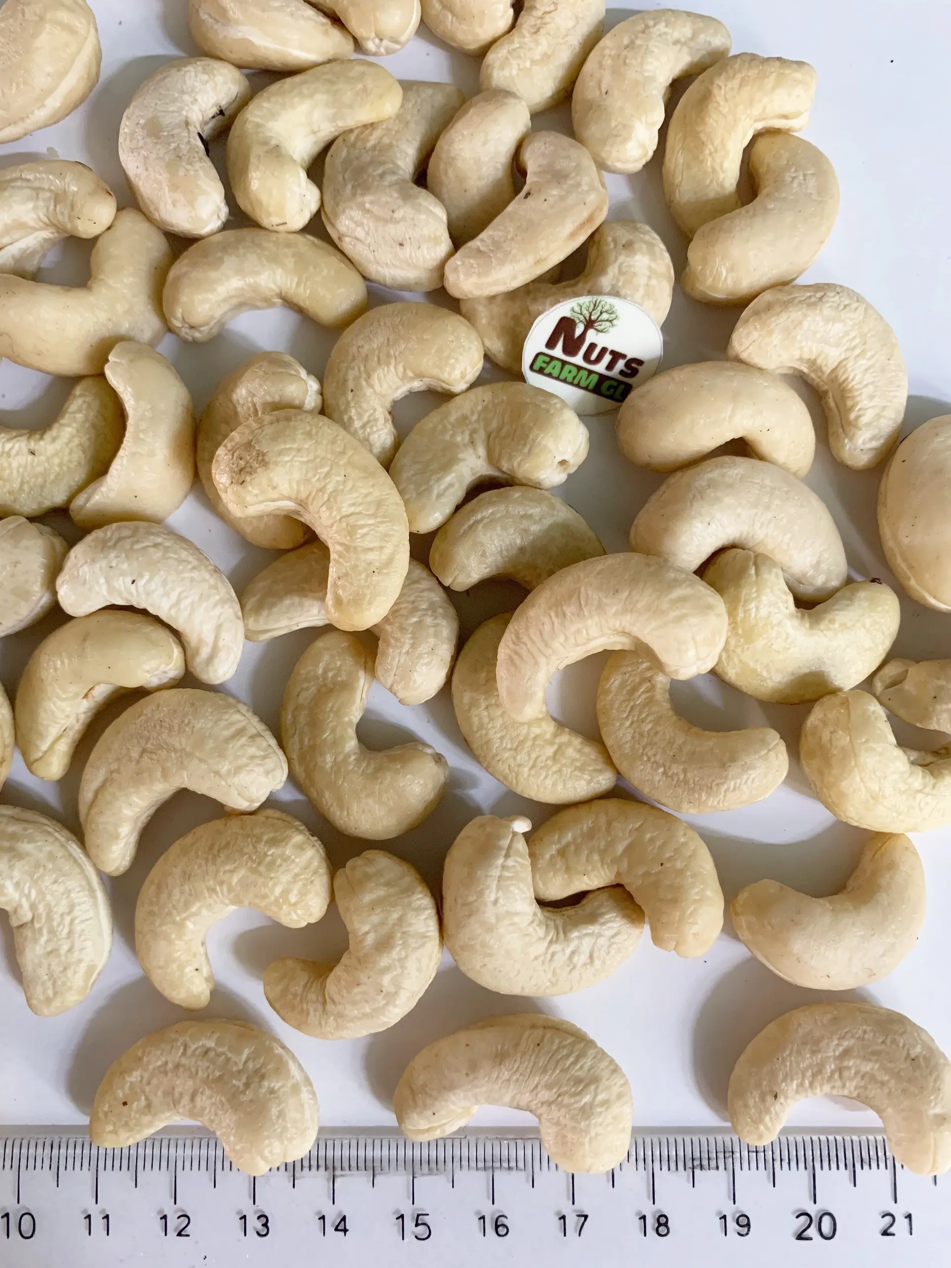 PRODUCT FOR EXPORT - VIETNAM CASHEW NUTS HIGH QUALITY GOOD PRICE W240,W320, WS, LP, SP...OF DHFVN MANUFACTURE