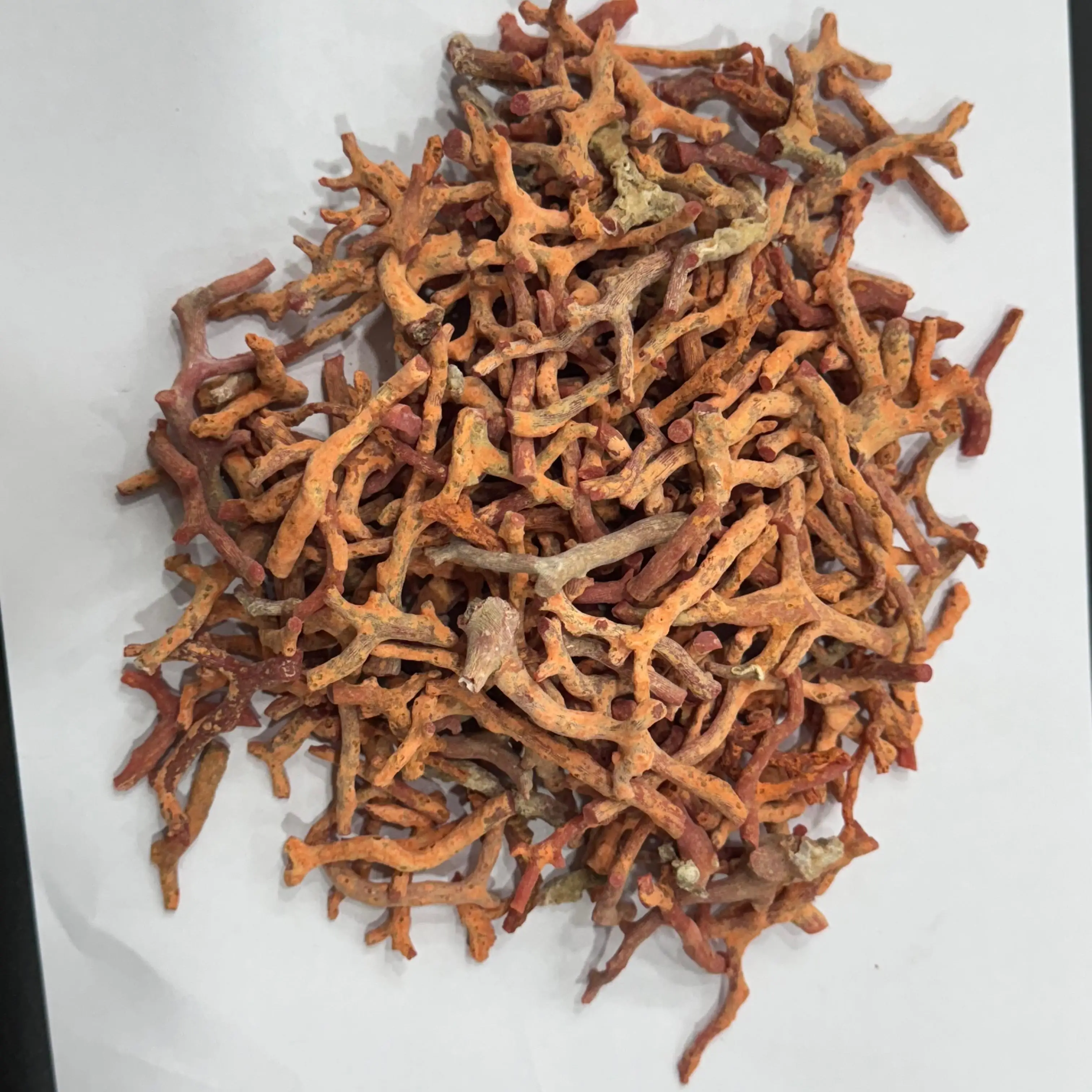 Natural Italian Coral Rough Sticks High Quality Italian Sea Red Coral Raw Sticks For Sale bulk product