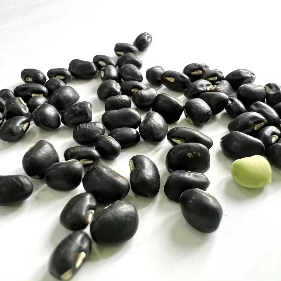 Wholesale Kidney beans Vietnam BLACK EYE BEANS Wholesale fermented black beans High Quality For Export