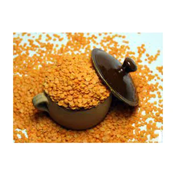best quality Red Lentils for sale Wholesale High manufacturer new Best material With cheap rate