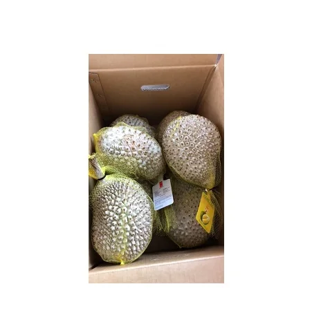 Malaysia Fresh D24 Durian Frozen