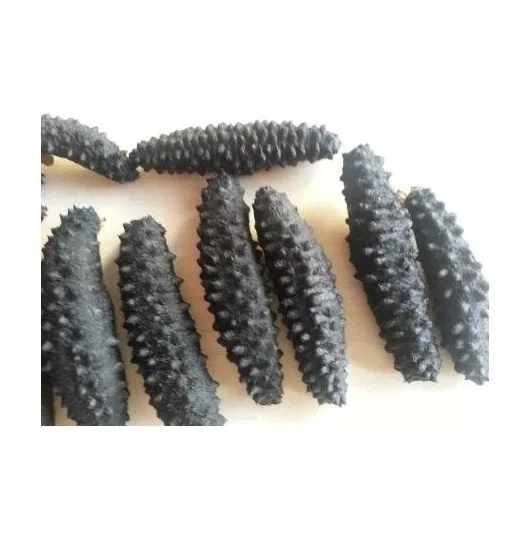 Bulk Quantity Of Dry Dried Sea Cucumber - DRIED and Frozen SEAFOOD Available Here At Best Prices