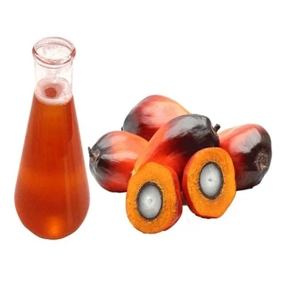 PREMIUM REFINED PALM OIL / Red Palm Oil / Crude Palm Oil
