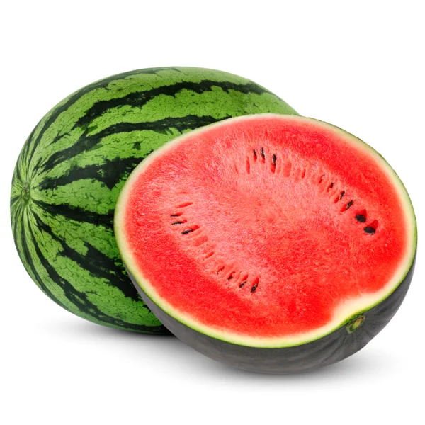 543 (1).png