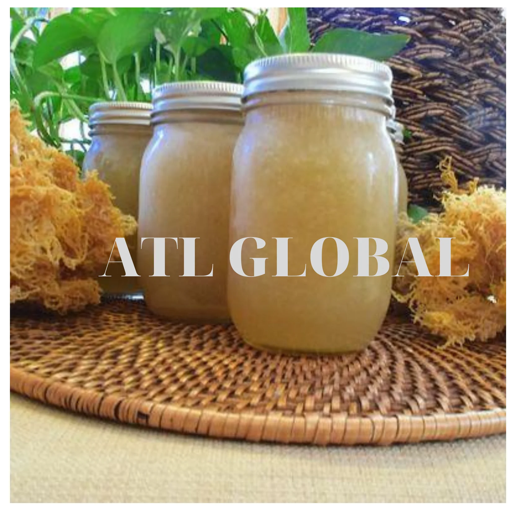 Sea moss gel wildcrafted raw superfood Irish moss/seamoss eucheuma cottonii  seamoss raw organic dried sea moss dried seaweed