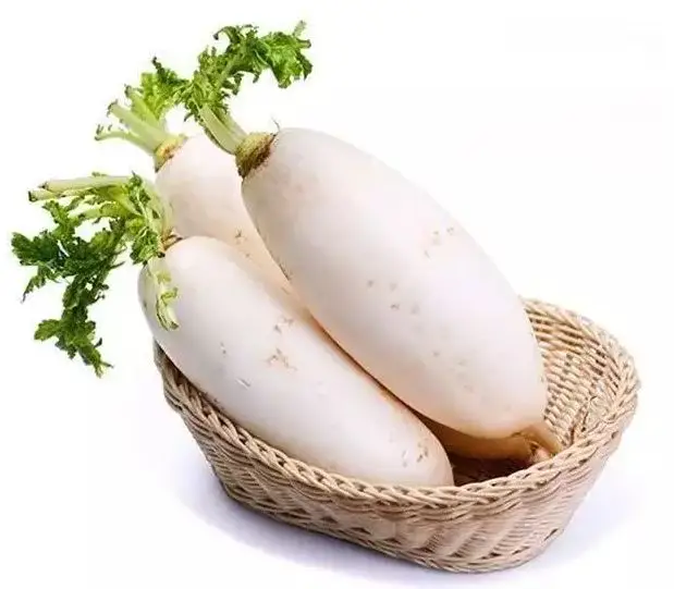 Top Grade Fresh White Radish / Red Radish Whole Price Directly From Factory for sale at affordable price