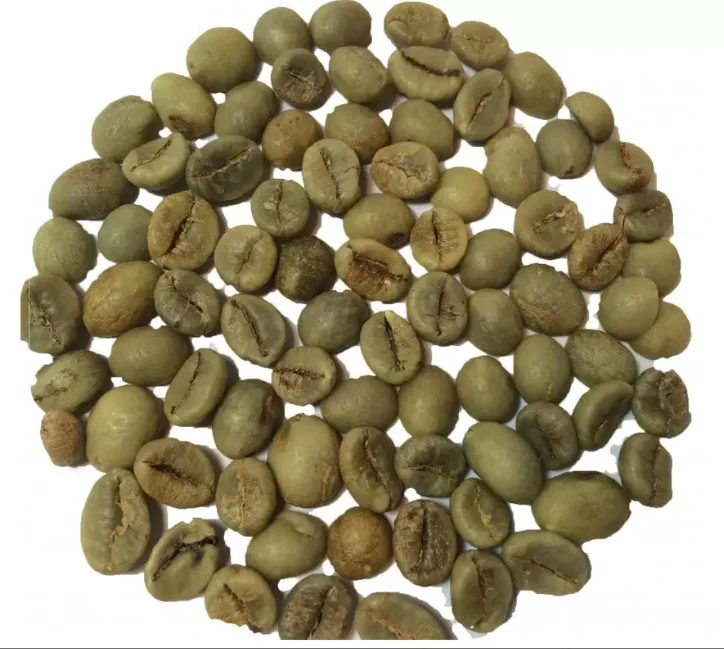 arabica and Robusta best quality Roasted Robusta coffee beans grade 1 Best Coffee Bean 100%