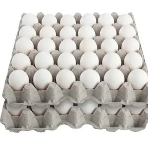 Chicken eggs in bulk price from Germany