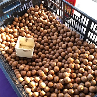 Delicious Nutrition Chinese Walnut Kernel Raw Natural Type Walnut Nuts, 100% Natural