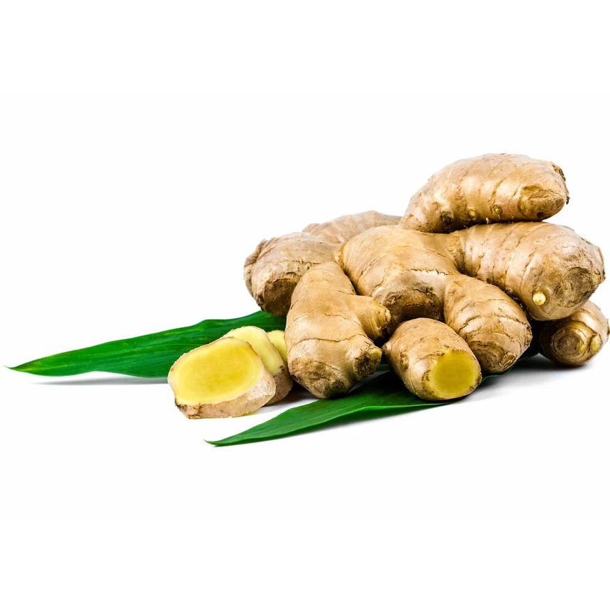 Typical hot spicy oil content 1 To 4% Old Ginger Fresh ginger With Weight 100gr 150gr 200gr 250gr