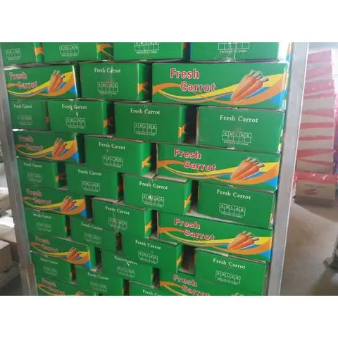 Fresh Vegetables Supplier Fresh Carrots Best Price Carrots New Crop Red Carrots