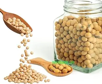 Soybean Meal 46% Protein - Soybean Animal Feed Organic Animal Food Soy Bean Meal Price in Bulk Poultry Feed