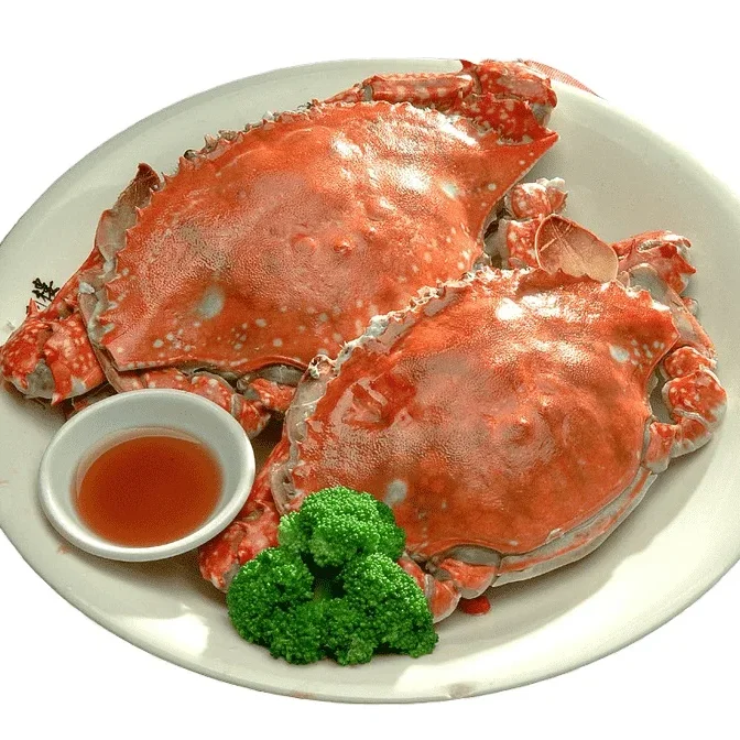 100% Premium quality Fresh mud Crabs / Mud crab / Frozen Mud Crab in a Wholesale,Frozen seafood for sale low price