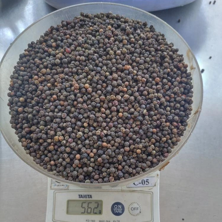 HOT SPICES BLACK PEPPER SEED 500 G/L FAQ NEW CROP HANFIMEX TOP VIETNAM FACTORY PRICE HIGH QUALITY  WhatsApps 0084374074818