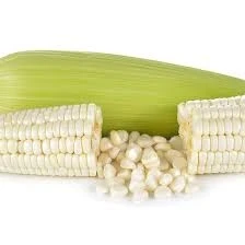 White Corn3.jpg