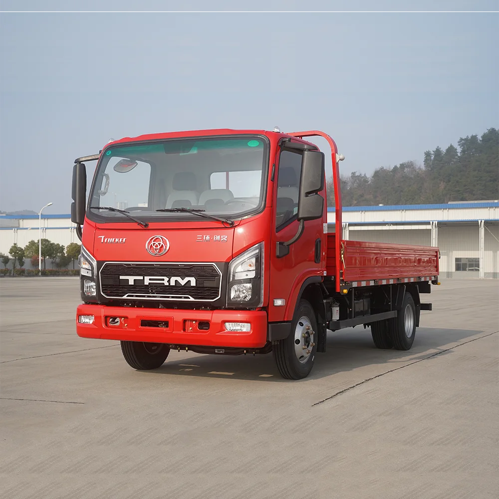 TRI-RING 4 * 2 Truck Box Type Cargo Truck, Urban Logistics Delivery Truck