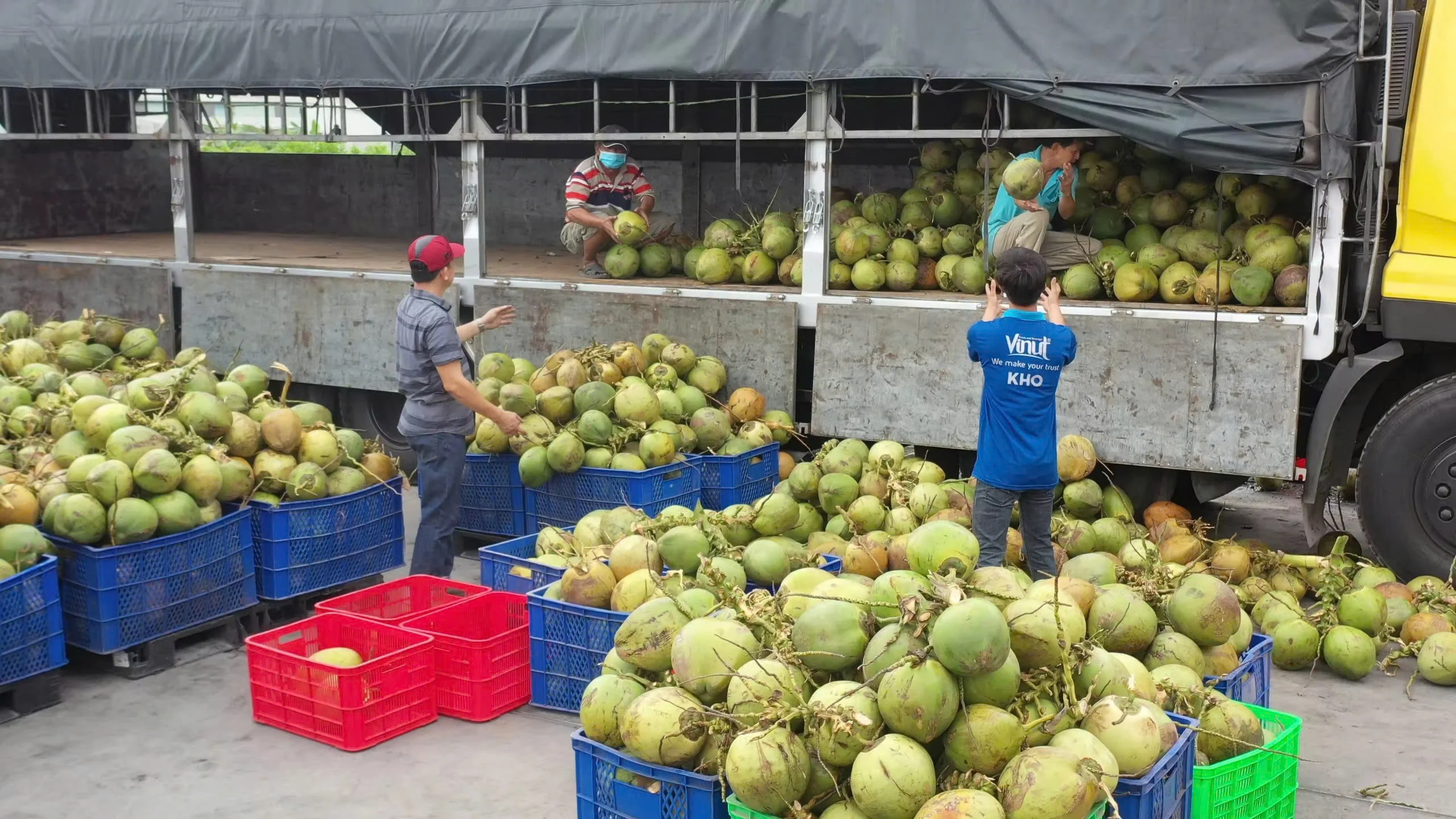 Оптовая продажа 400 мл Жестяная Банка кокосовое молоко для приготовления пищи с 12-14% без жира производство напитков Вьетнам частный