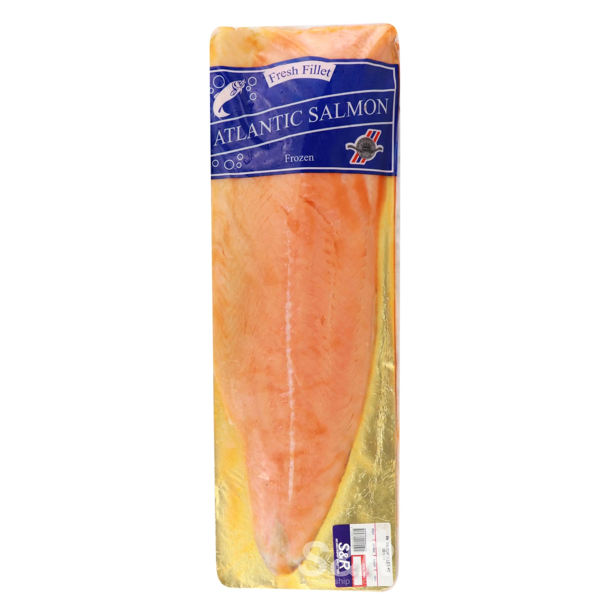 Top Quality Fresh Frozen Whole Atlantic Salmon