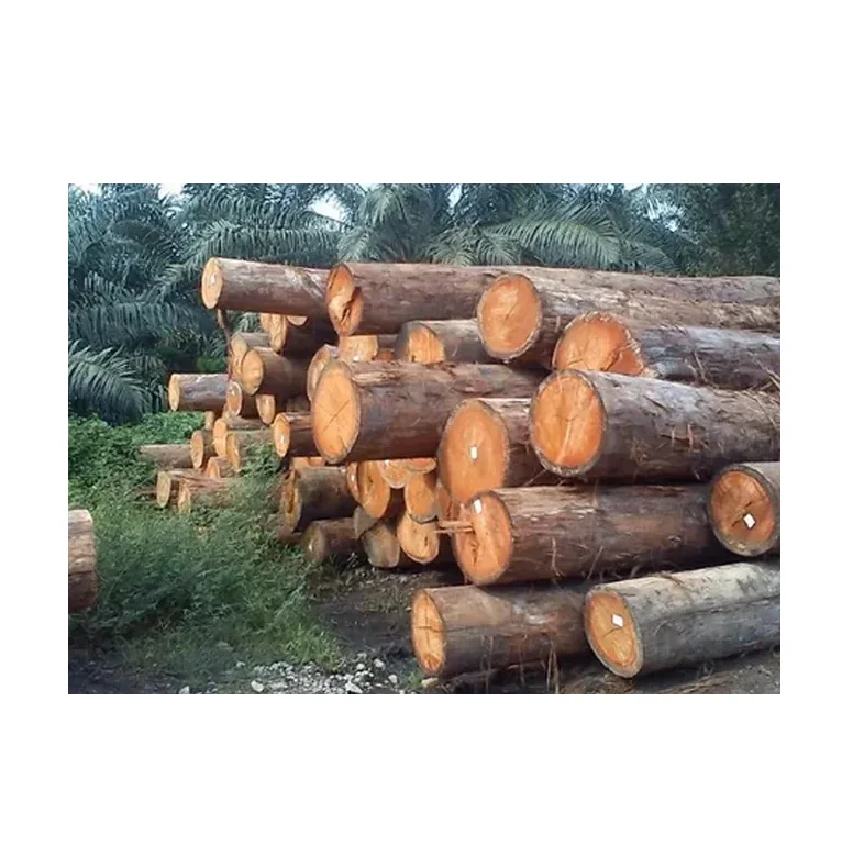 Бревна Meranti-свежая огранка и окорка для изготовления мебели