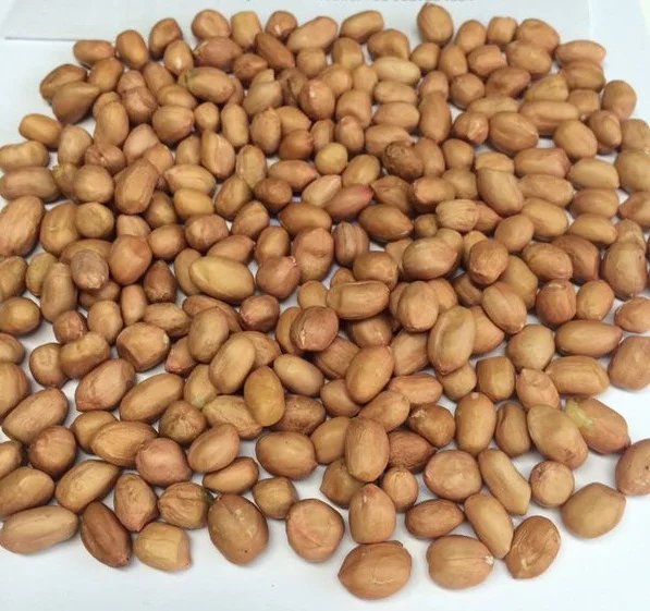 Amendoim Peanuts White High Standards