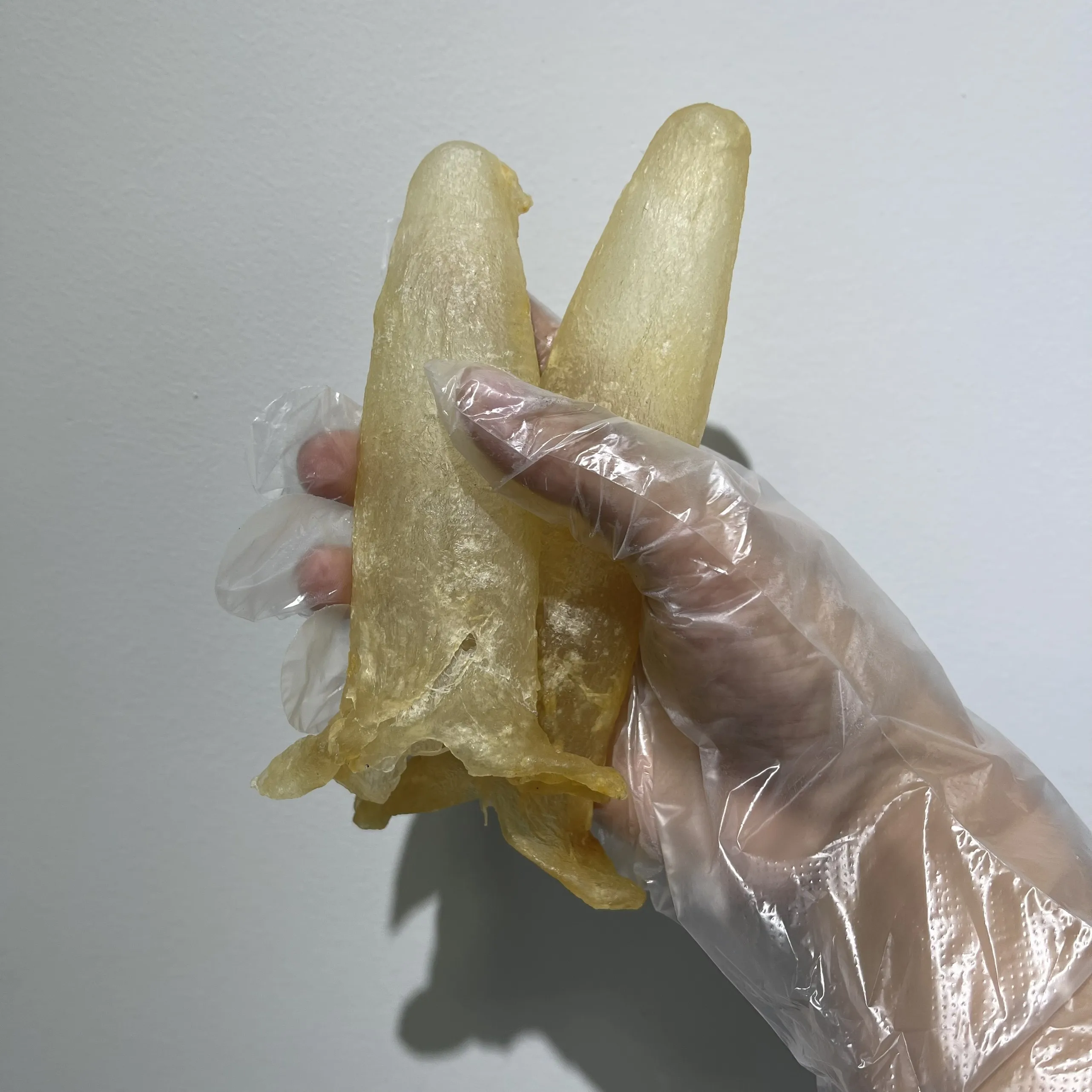 FISH MAW SUN DRY FISH MAW NATURAL PREMIUM QUALITY FISH MAW FROM VIETNAM