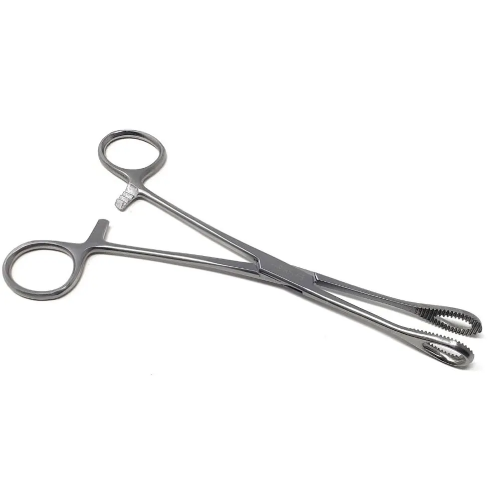 Surgical Steel Tongue Septum Sponge Forceps Forester Sponge Forceps Straight Serrated 9.3/4 lendizer surgical