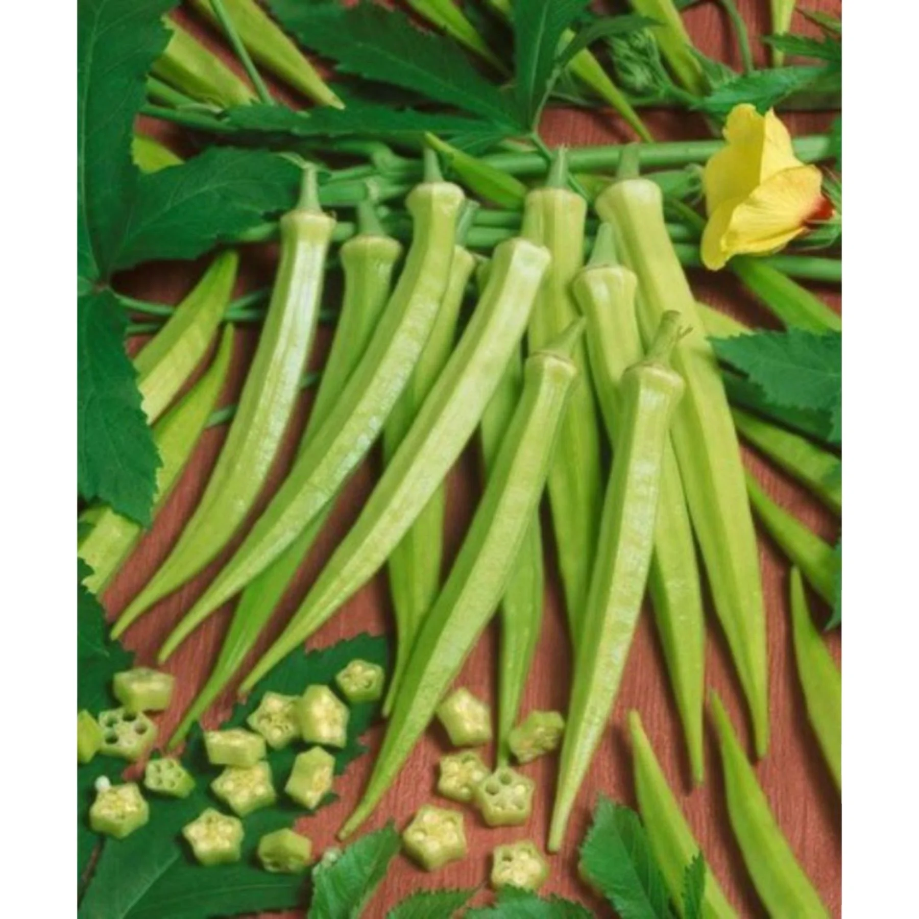 Top exporters for Okra(Op) Verity for for consumption Okra Arka Anamika / Okro exporting company production company
