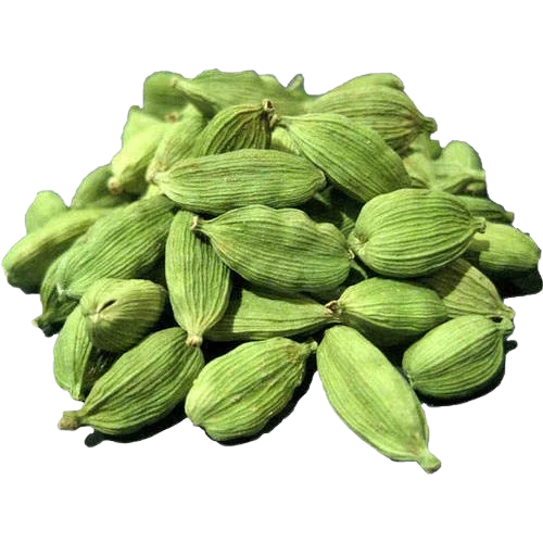 Buy Premium Quality Fresh Green Cardamom For Multi Type Uses Manufacture in India Wholesale Prices By Exporters