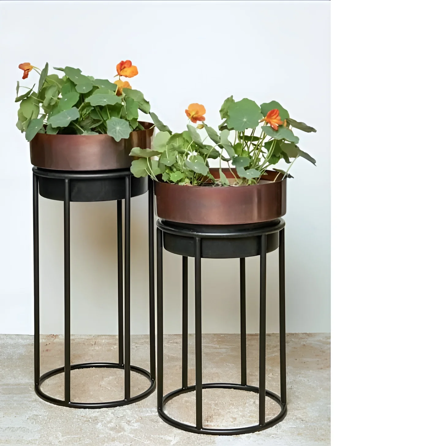 Iron Garden Planter With Different Sizes Galvanized Superior Quality Outdoor Planter At Reasonable Prices 2024