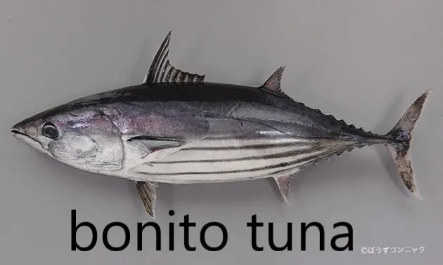 High quality bonito flakes Special baking process, more fragrant , can be eaten directly or made into soup for hot sale