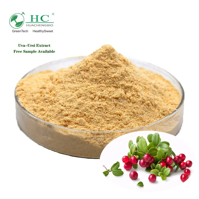 Порошок экстракта листьев Bearberry Uva Ursi P.e. Экстракт Уфа урси с урсоловой кислотой