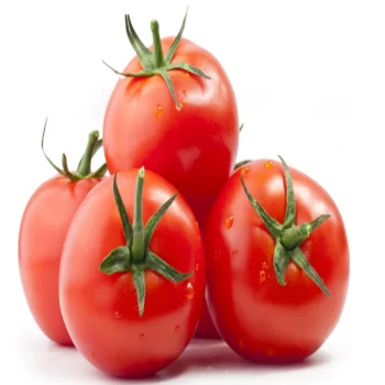 Вкусный свежий томатный экспорт по хорошей