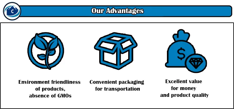 Our Advantages copy.jpg