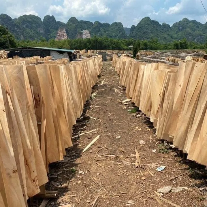 Veneer Sheets Thickness 1.7mm / 1.8mm / 2.0mm Cost-Effective Stable Material Warranty Eucalyptus Core Veneer Vietnam Wholesale