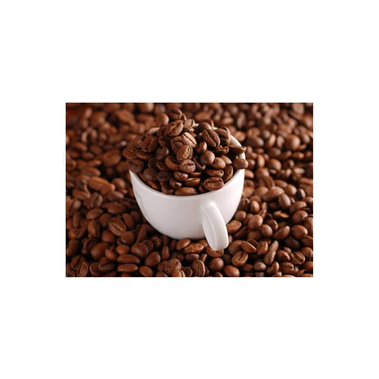 Green Coffee Beans Arabic Coffee High Quality