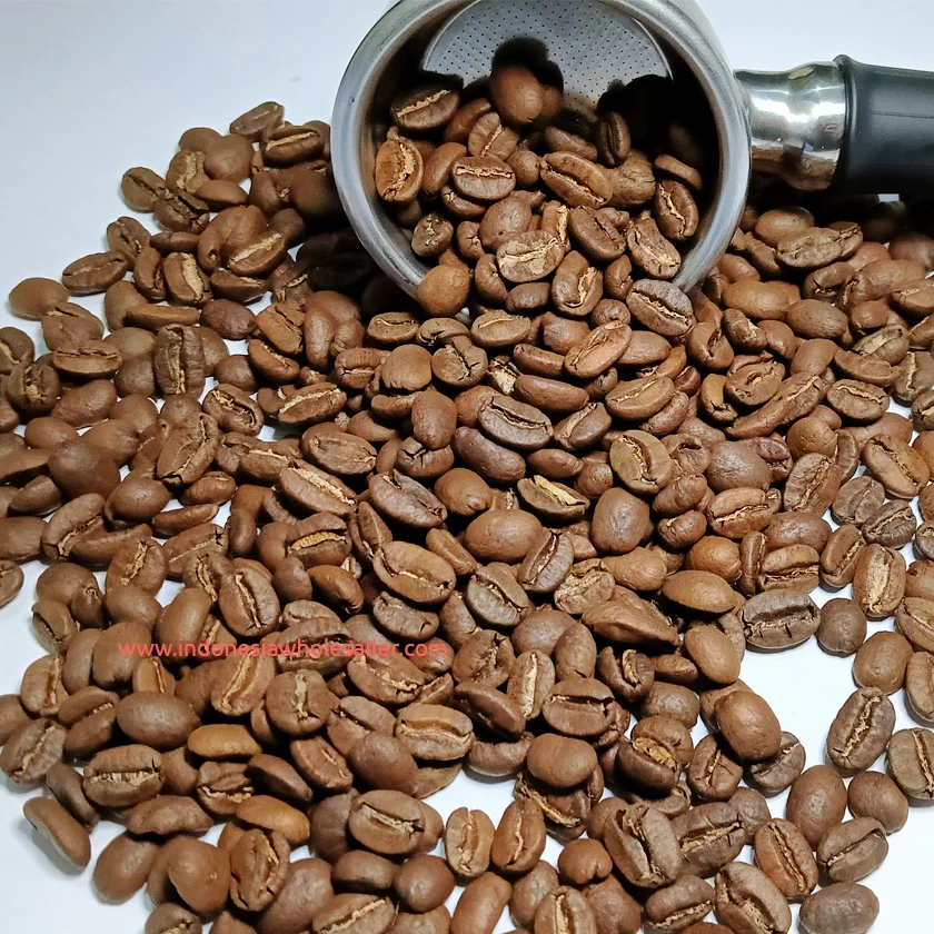 Gayo Arabica Roasted Coffee Beans Hight Grade Freshly Roasted Indonesia Arabica Coffee Beans Premium Quality Wholesale Price