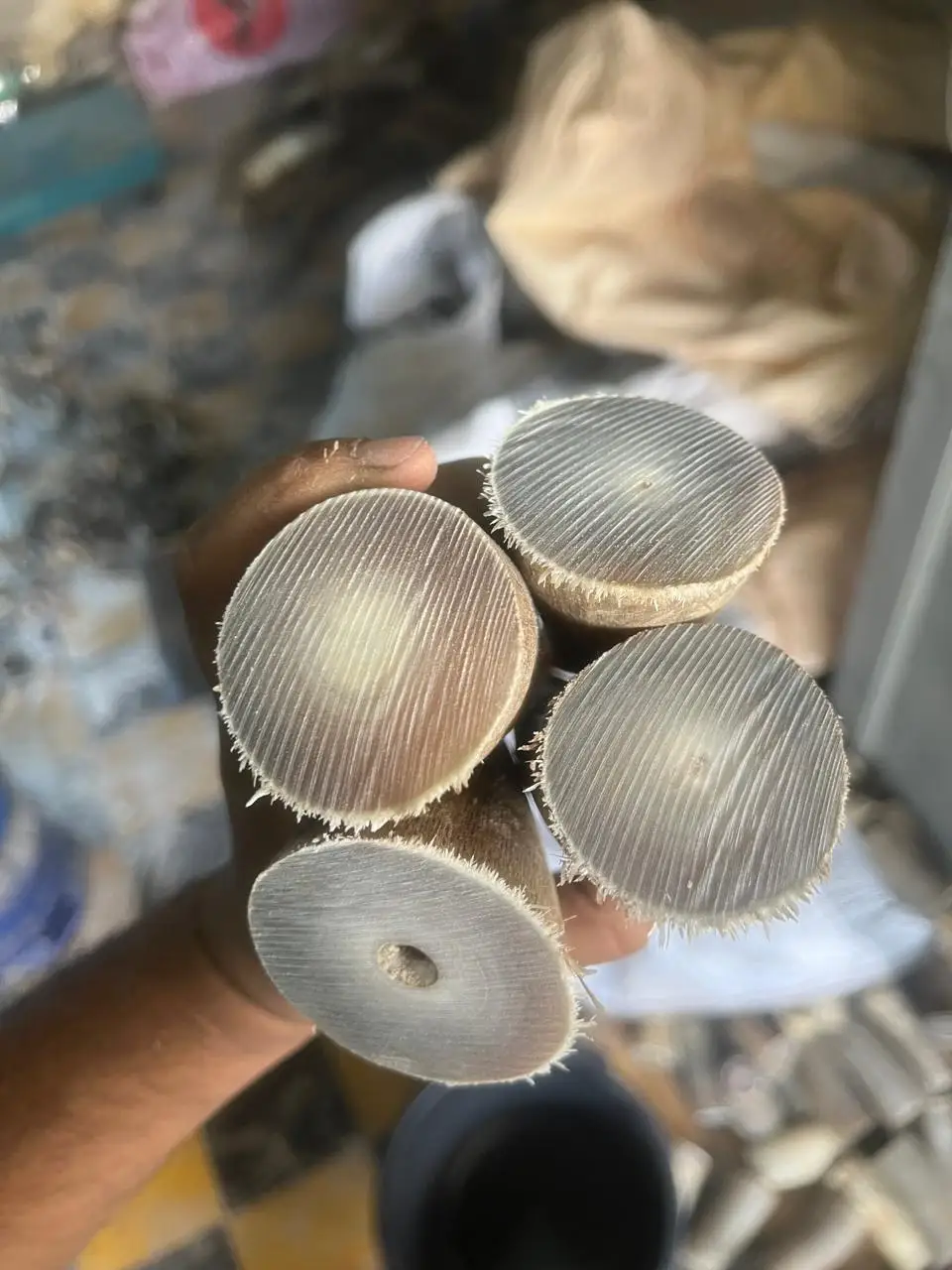 Quality OX Cow and Buffalo Horn Tip for Sale at Very White Tips Prices Product