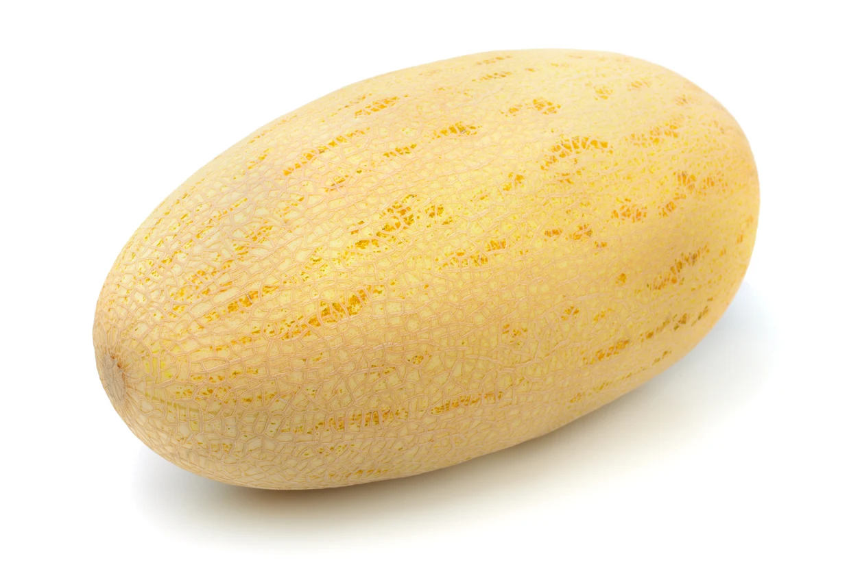 Grown melon from Uzbekistan fast delivery wholesale low price