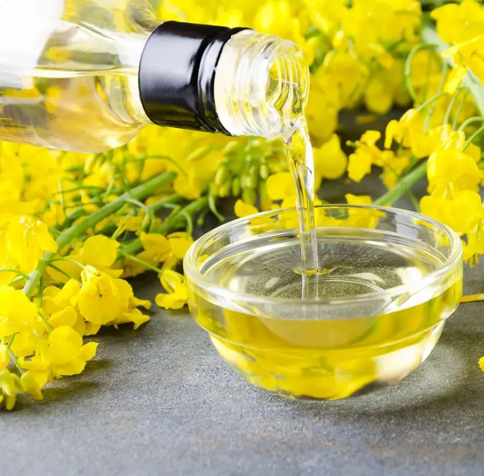 Hot Selling Price  Refined Rapeseed Oil Wholesale
